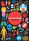 Human Body (Infographics)